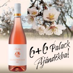 6+6 Blaufränkisch Rosé 2023 (histaminarm)